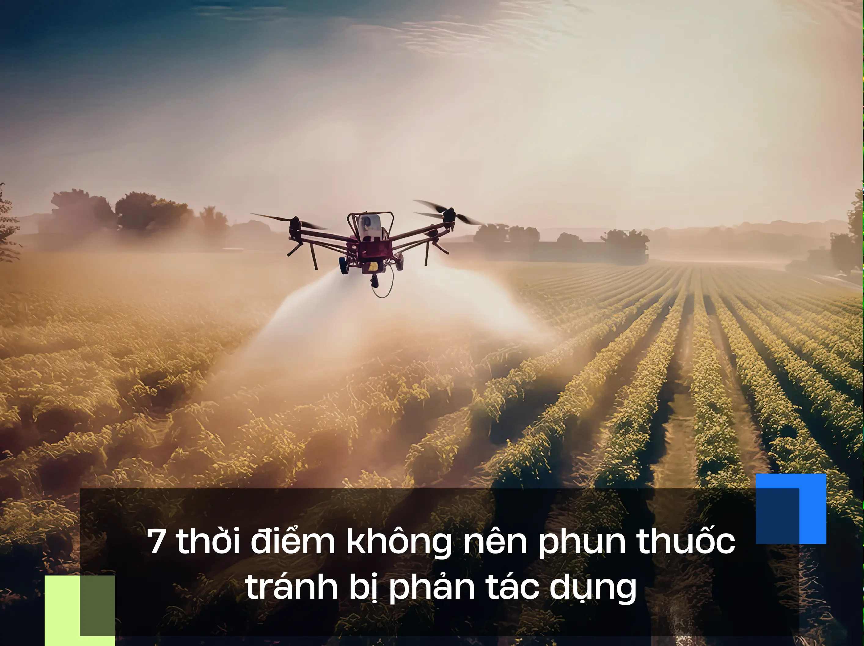 7 thời điểm không nên phun thuốc tránh bị phản tác dụng