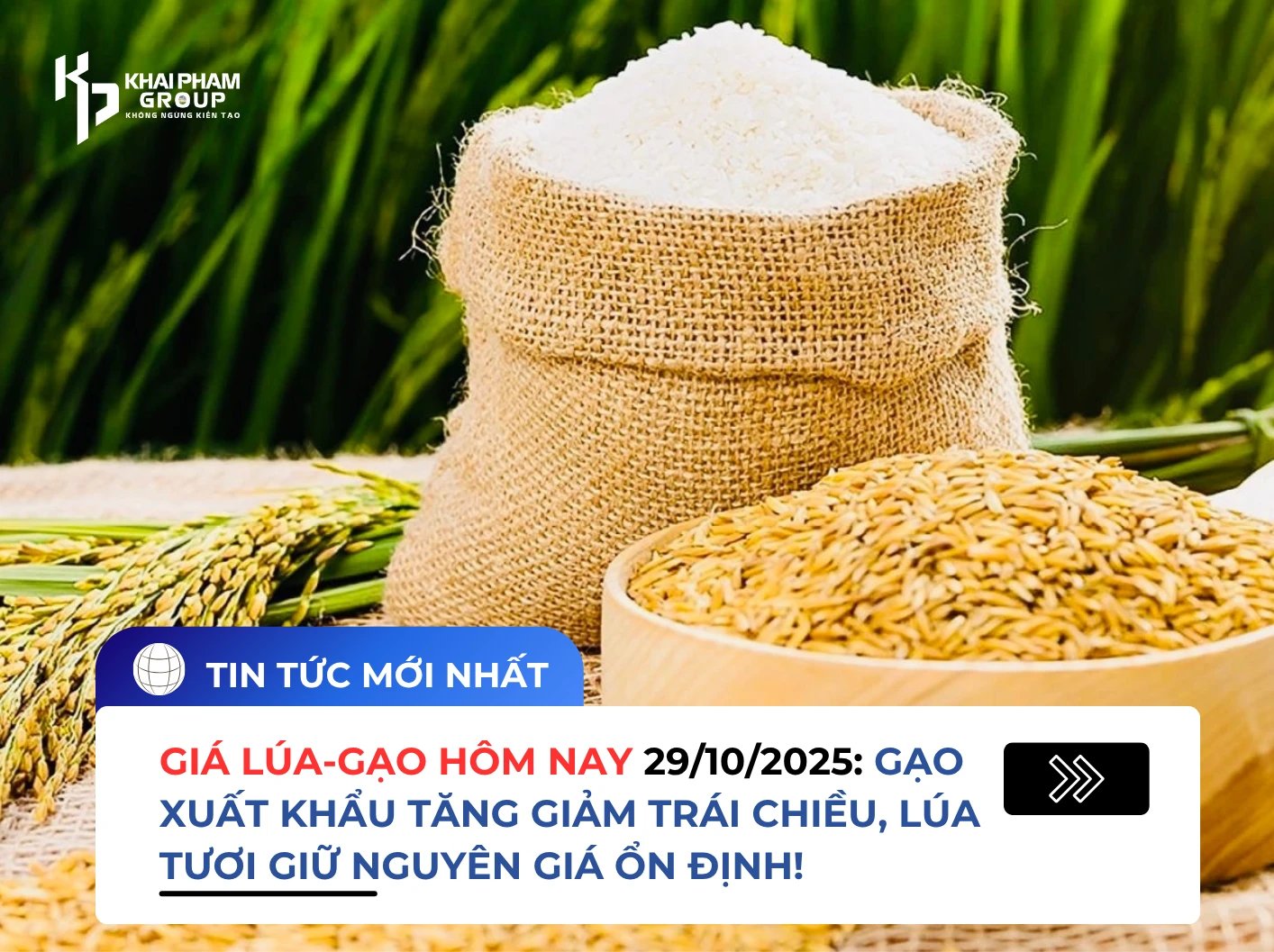 GIÁ LÚA-GẠO HÔM NAY 29/10/2025: GẠO XUẤT KHẨU TĂNG GIẢM TRÁI CHIỀU, LÚA TƯƠI GIỮ NGUYÊN GIÁ ỔN ĐỊNH