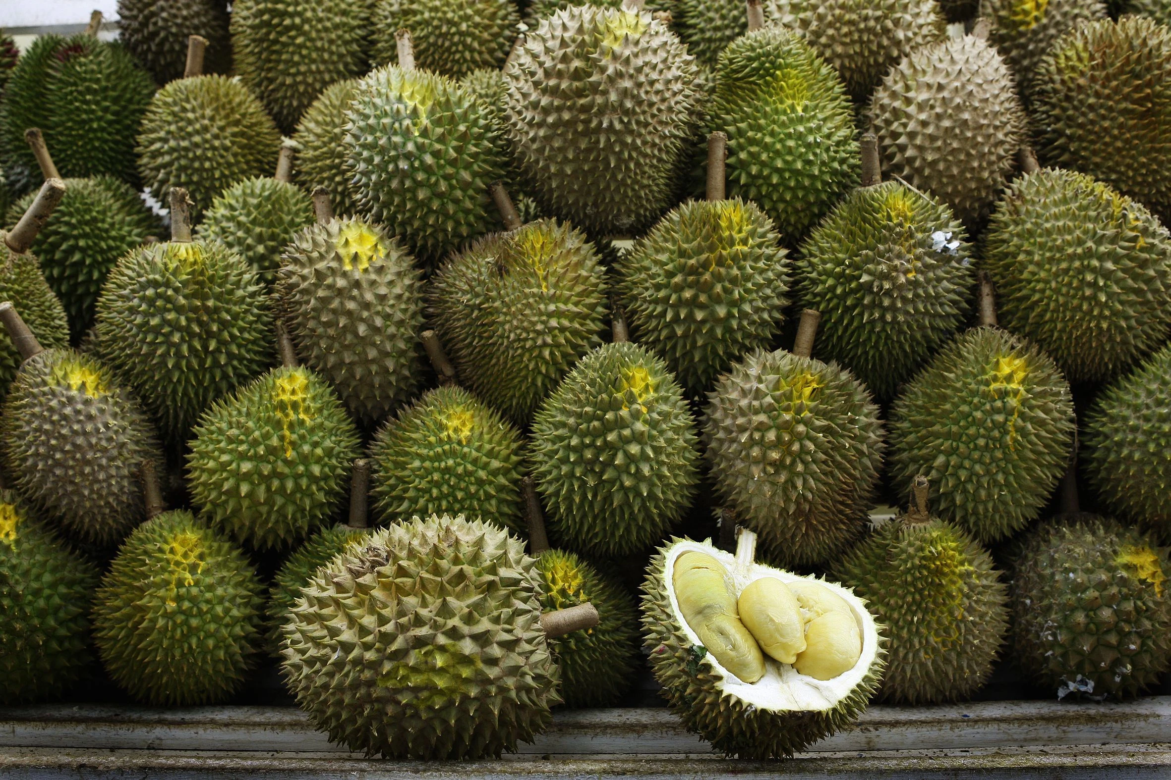 sầu riêng