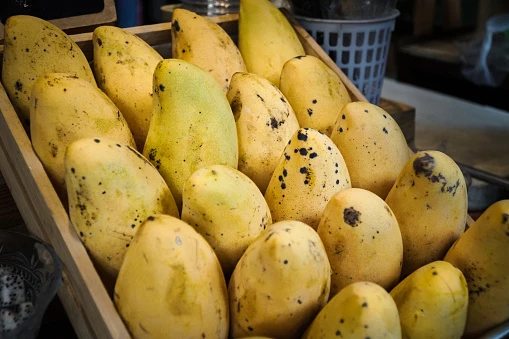 Thối trái xoài