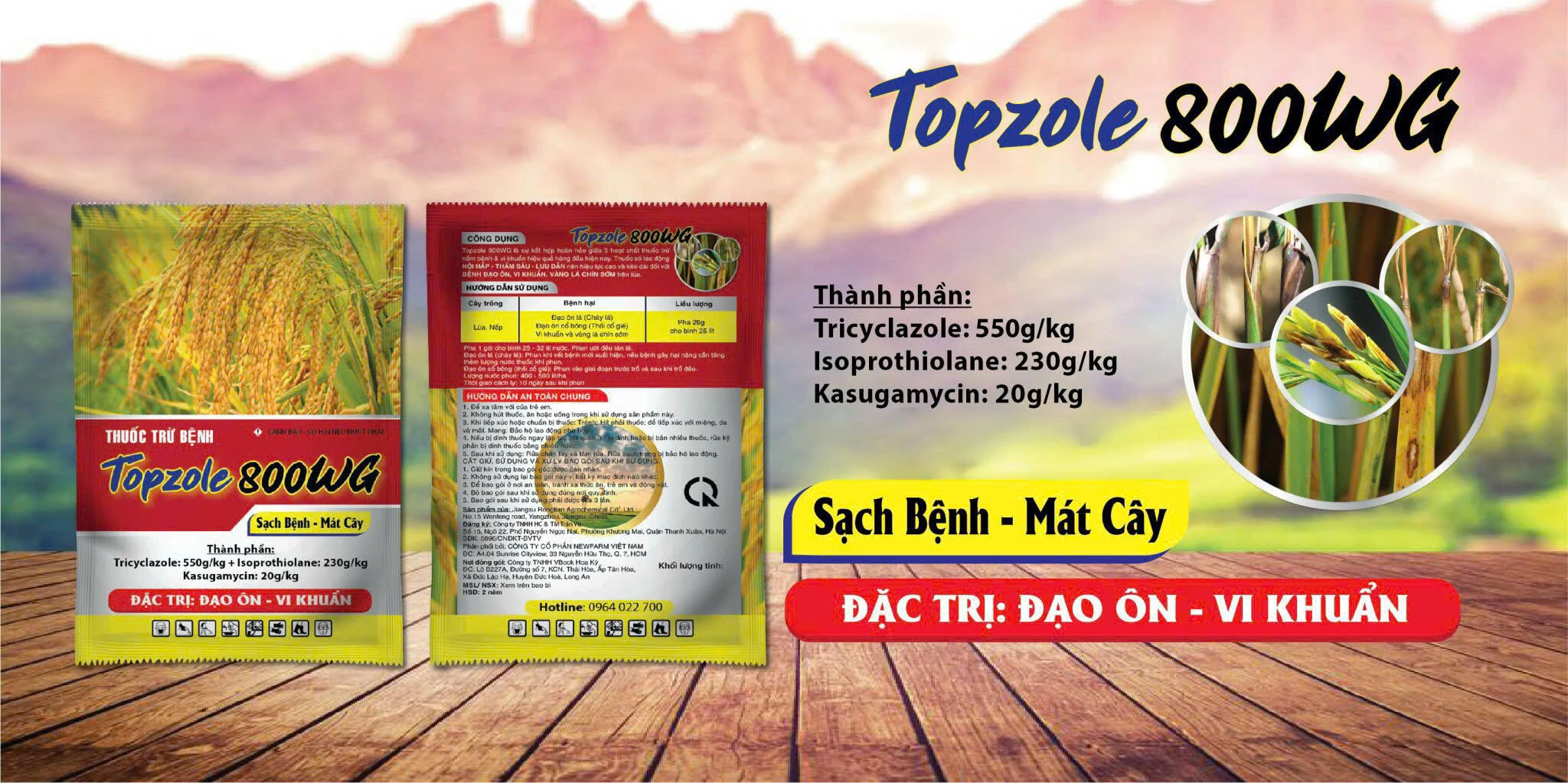 sạch bệnh mát cây