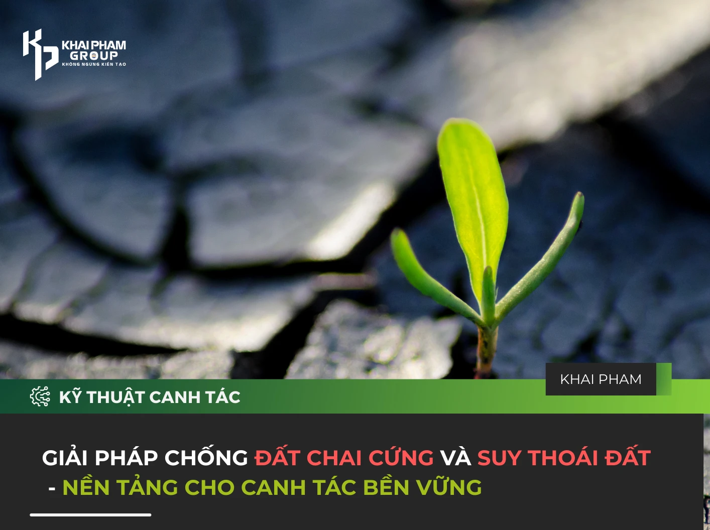 GIẢI PHÁP CHỐNG ĐẤT CHAI CỨNG VÀ SUY THOÁI ĐẤT - NỀN TẢNG CHO CANH TÁC BỀN VỮNG