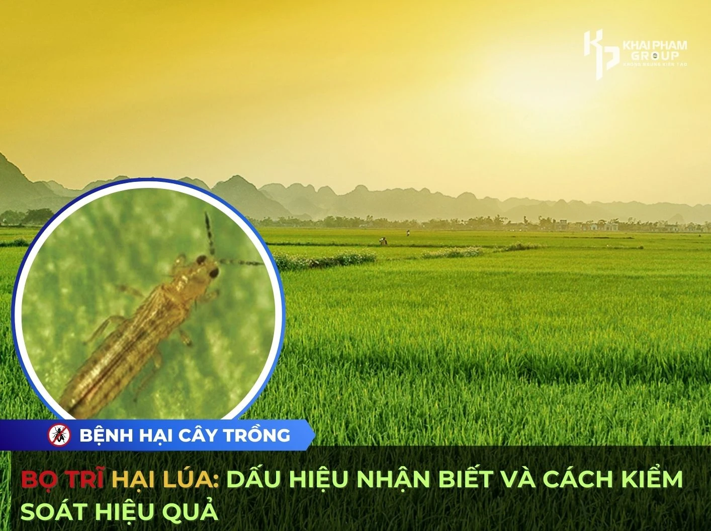 BỌ TRĨ HẠI LÚA