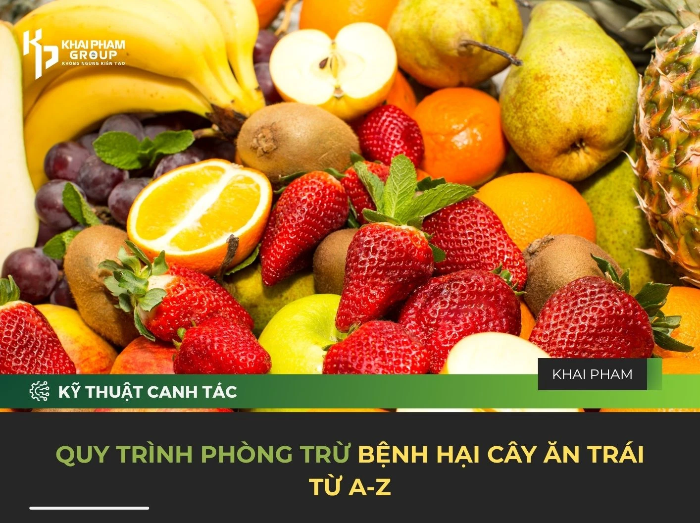 QUY TRÌNH PHÒNG TRỪ BỆNH HẠI CÂY ĂN TRÁI TỪ A-Z