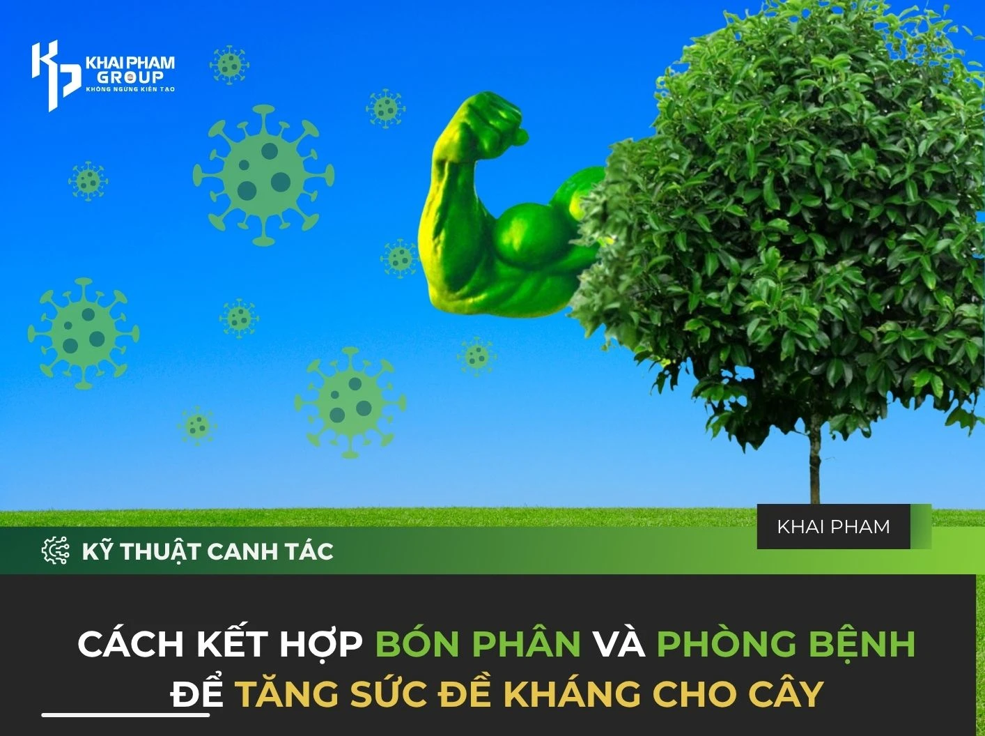 CÁCH KẾT HỢP BÓN PHÂN VÀ PHÒNG BỆNH ĐỂ TĂNG SỨC ĐỀ KHÁNG CHO CÂY