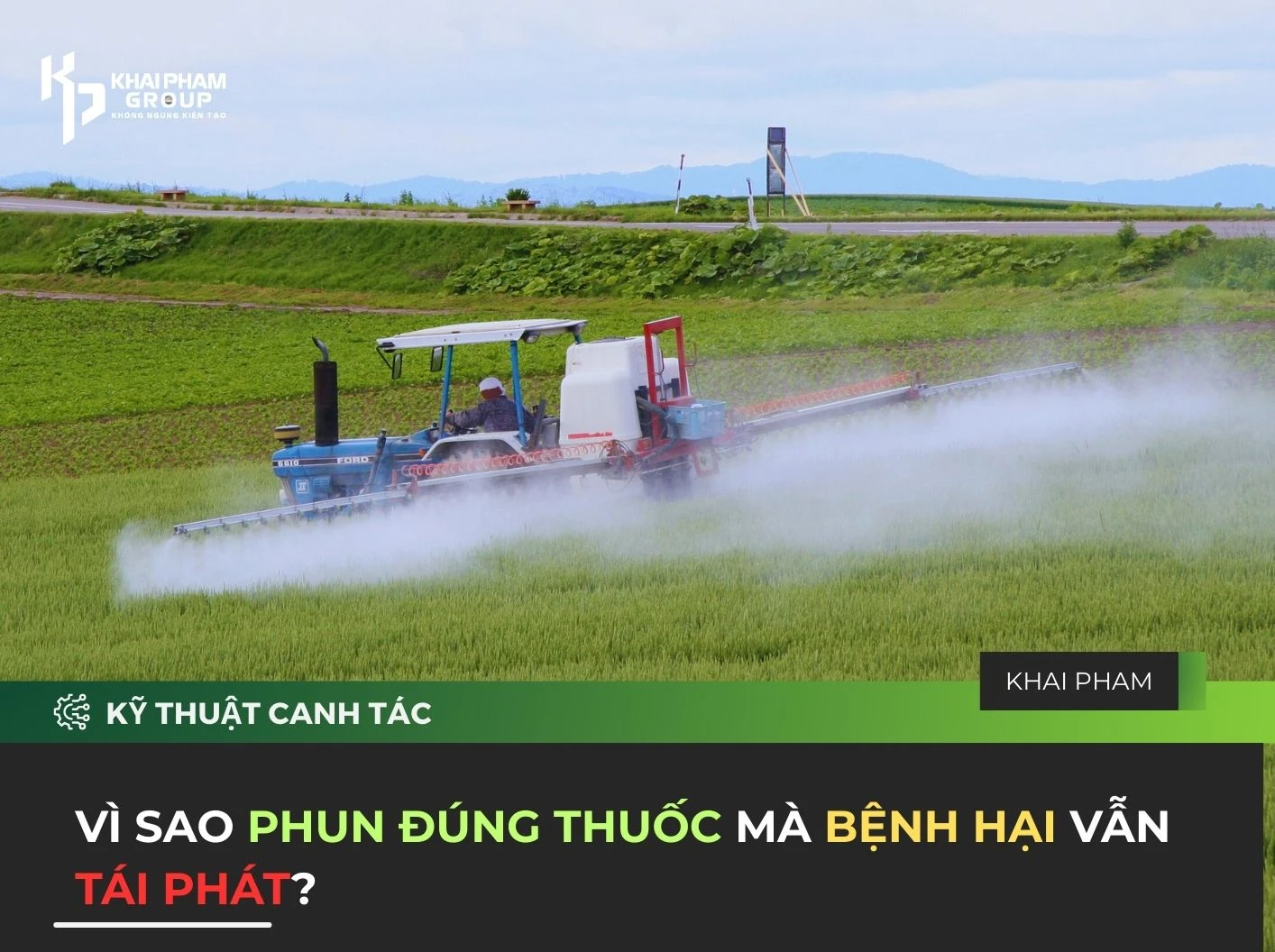 vì sao phun thuốc đúng mà bệnh vẫn tái phát?