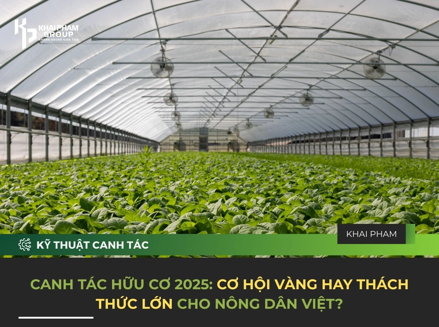 CANH TÁC HỮU CƠ 2025: CƠ HỘI VÀNG HAY THÁCH THỨC LỚN CHO NÔNG DÂN VIỆT?