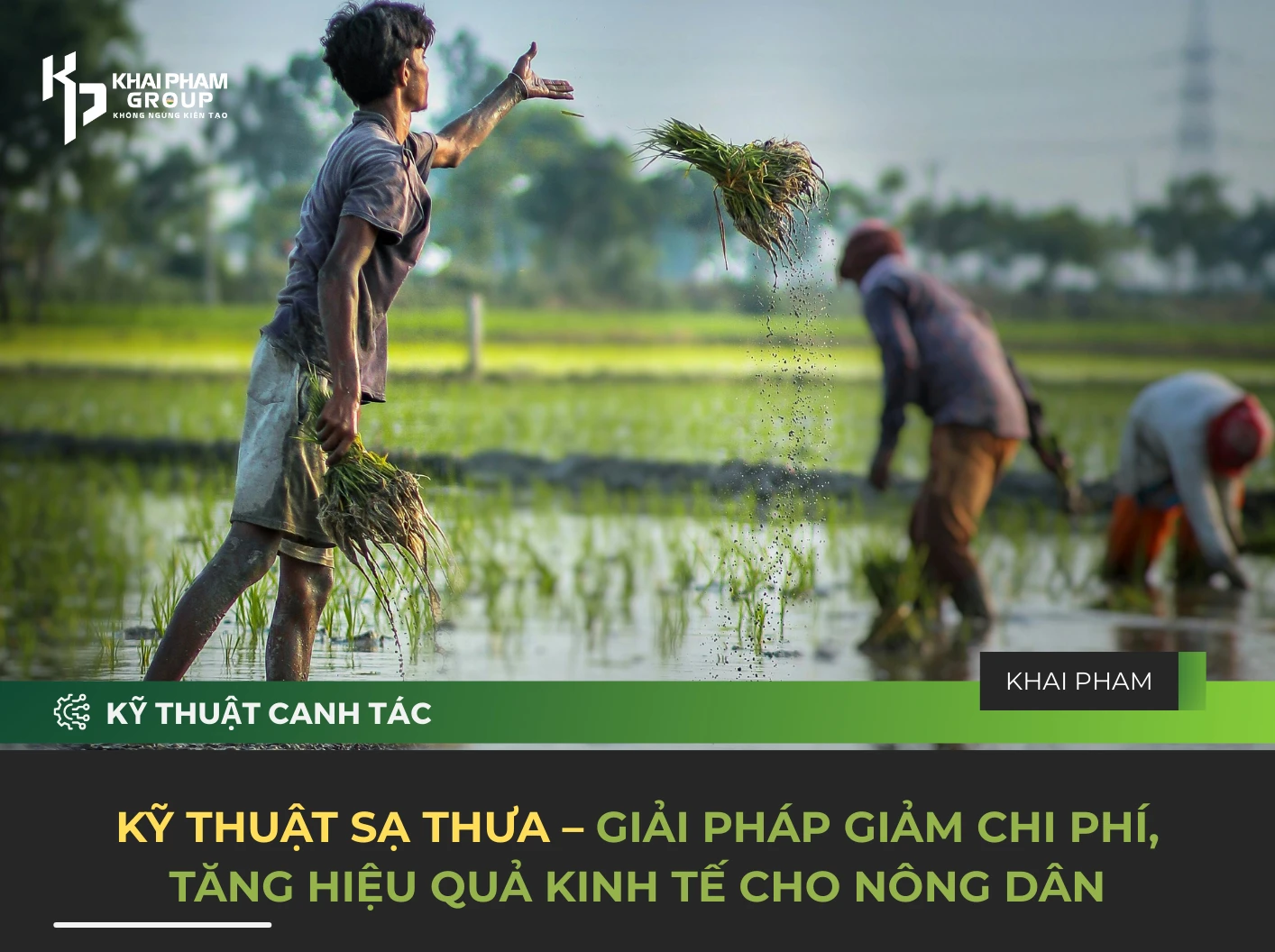 KỸ THUẬT SẠ THƯA – GIẢI PHÁP GIẢM CHI PHÍ, TĂNG HIỆU QUẢ KINH TẾ CHO NÔNG DÂN