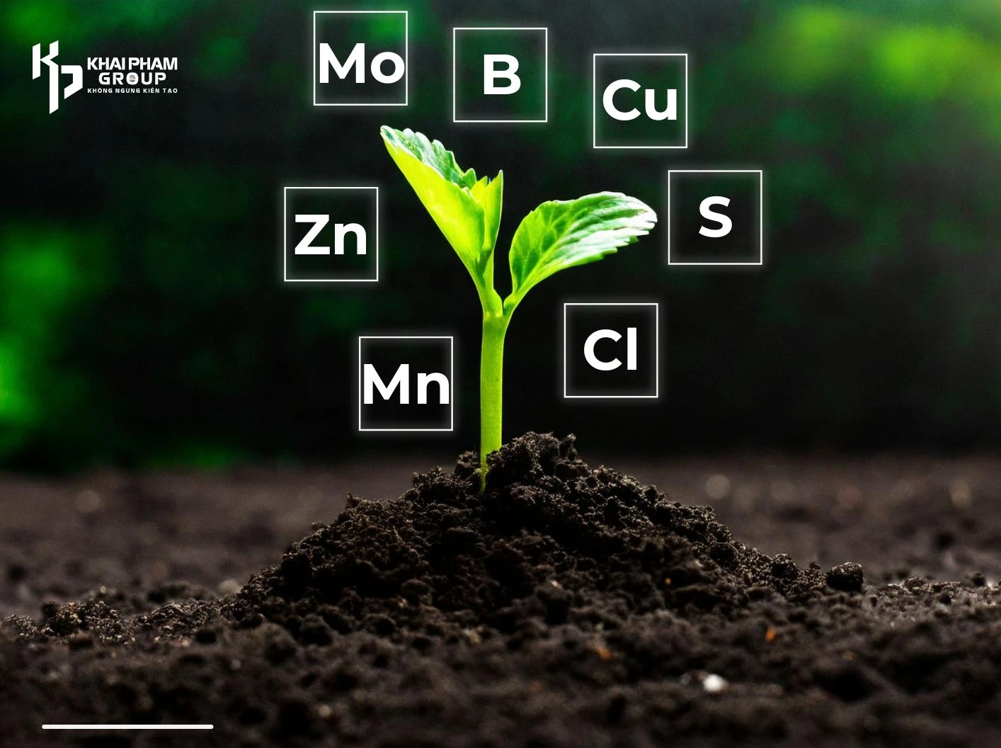 NHỮNG SAI LẦM THƯỜNG GẶP KHI BỔ SUNG VI LƯỢNG CHO CÂY ĂN TRÁI