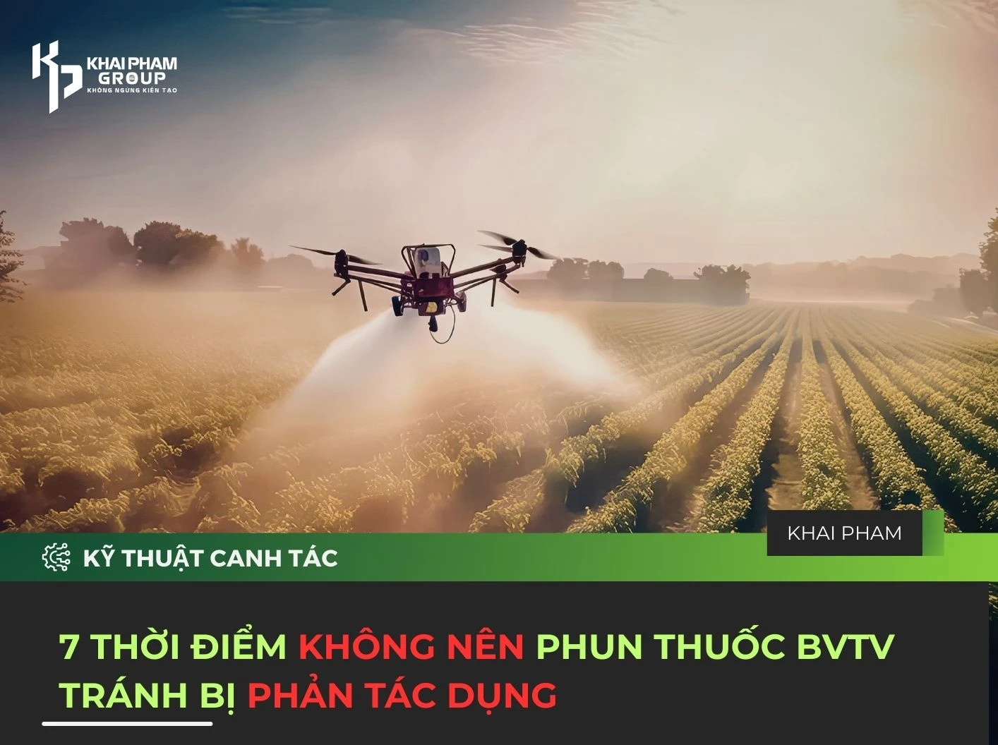 7 THỜI ĐIỂM KHÔNG NÊN PHUN THUỐC BVTV TRÁNH BỊ PHẢN TÁC DỤNG