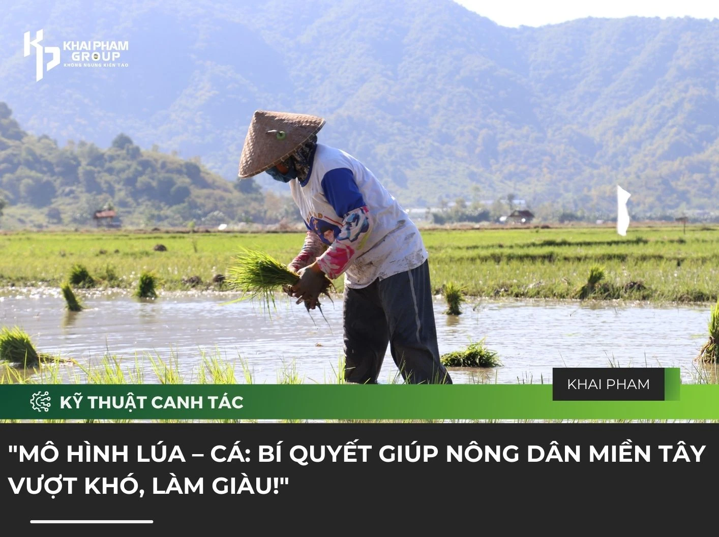 "MÔ HÌNH LÚA – CÁ: BÍ QUYẾT GIÚP NÔNG DÂN MIỀN TÂY VƯỢT KHÓ, LÀM GIÀU!