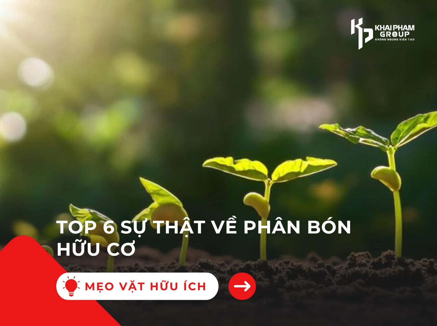 PHÂN BÓN HỮU CƠ