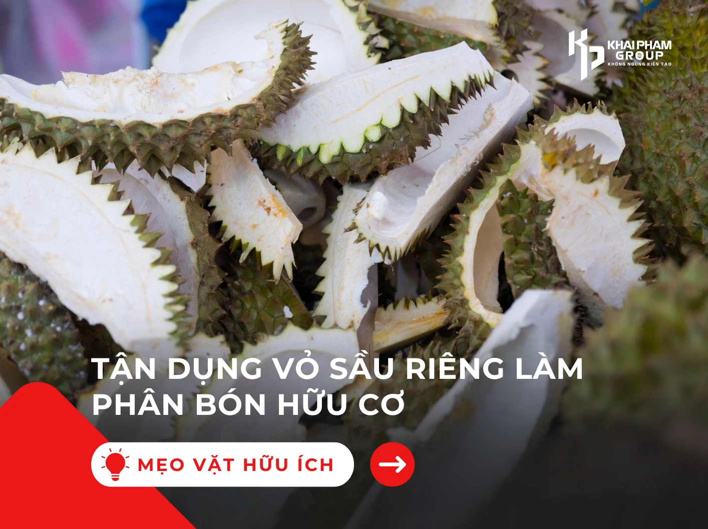 Vỏ sầu riêng