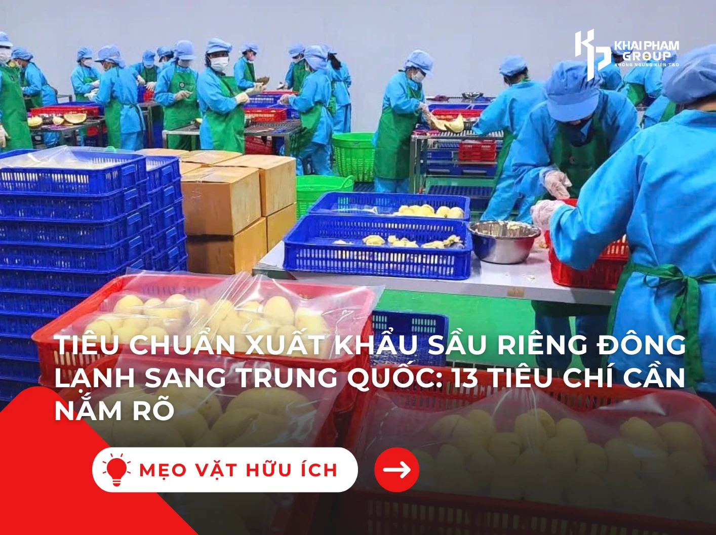 13 tiêu chí xuất khẩu sầu riêng đông lạnh 2025
