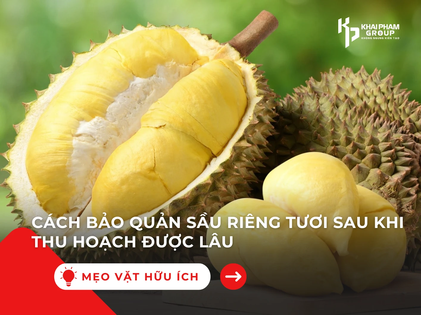 Cách bảo quản sầu riêng tươi sau khi thu hoạch để được lâu