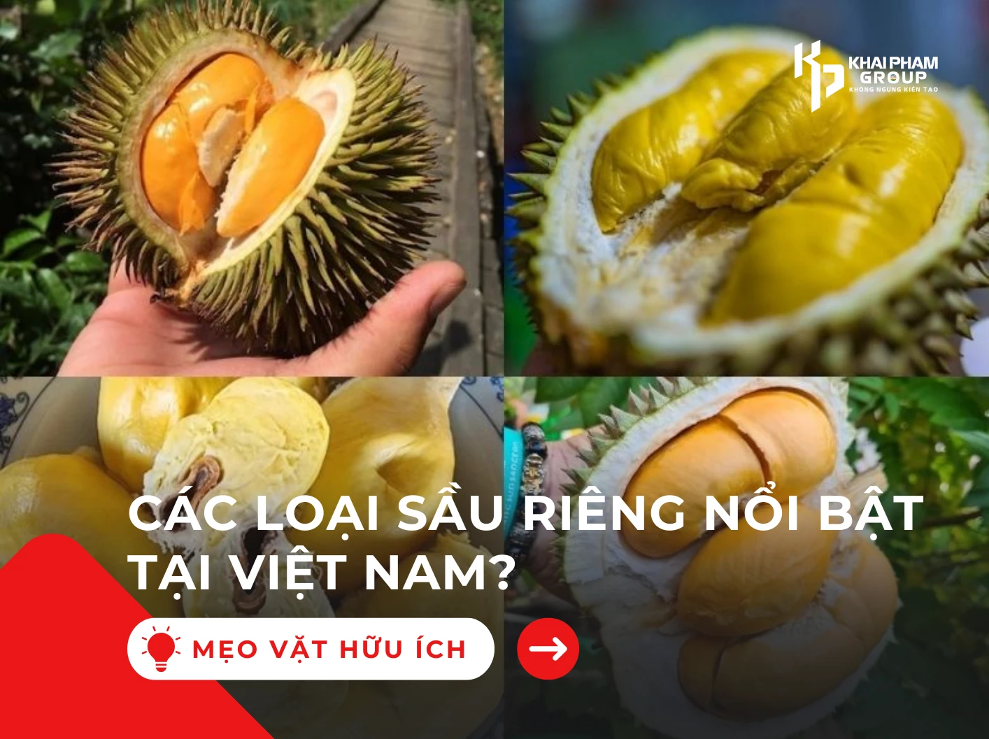Các loại sầu riêng nổi bật tại Việt Nam