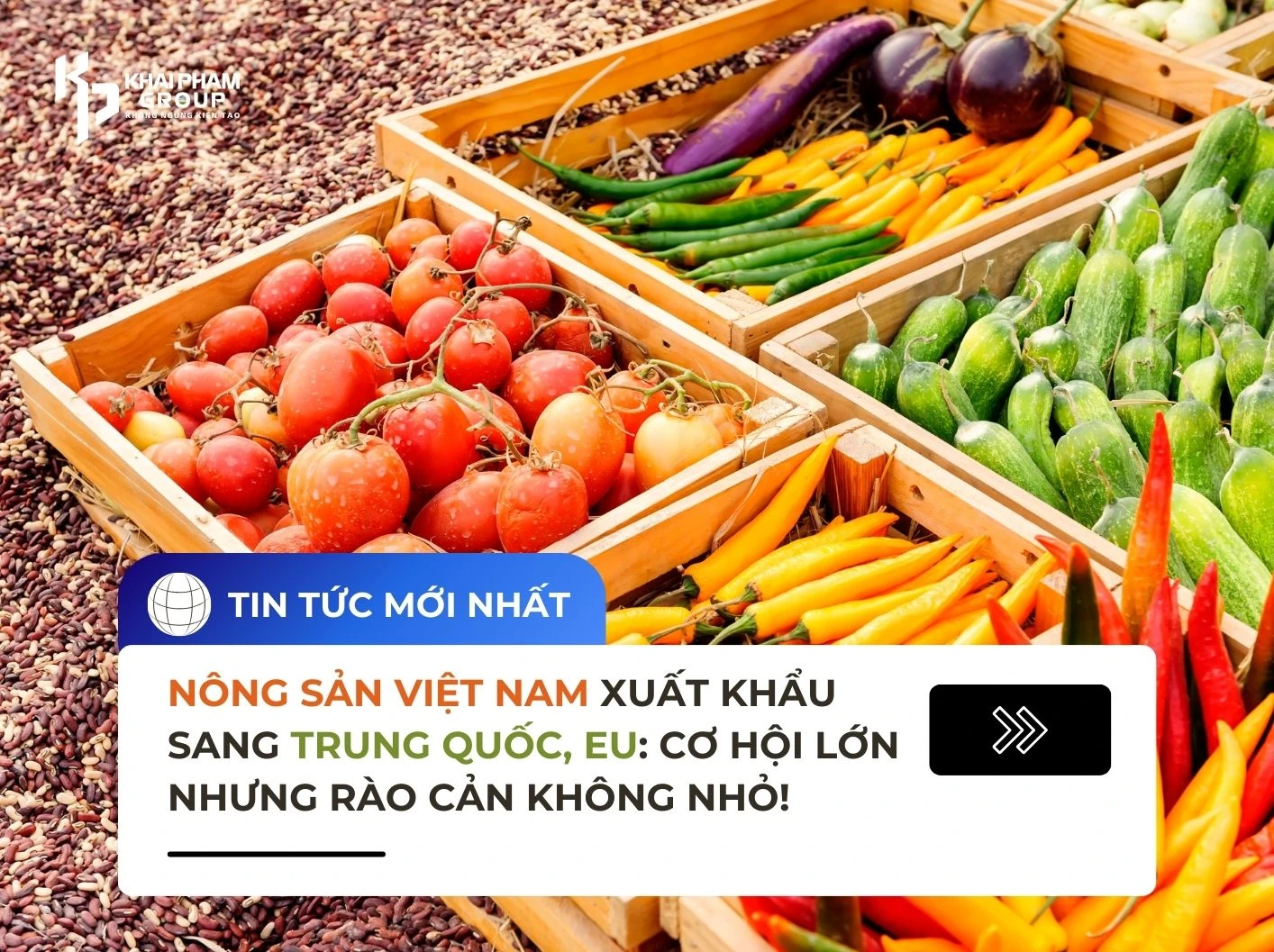NÔNG SẢN VIỆT NAM XUẤT KHẨU SANG TRUNG QUỐC, EU: CƠ HỘI LỚN NHƯNG RÀO CẢN KHÔNG NHỎ!