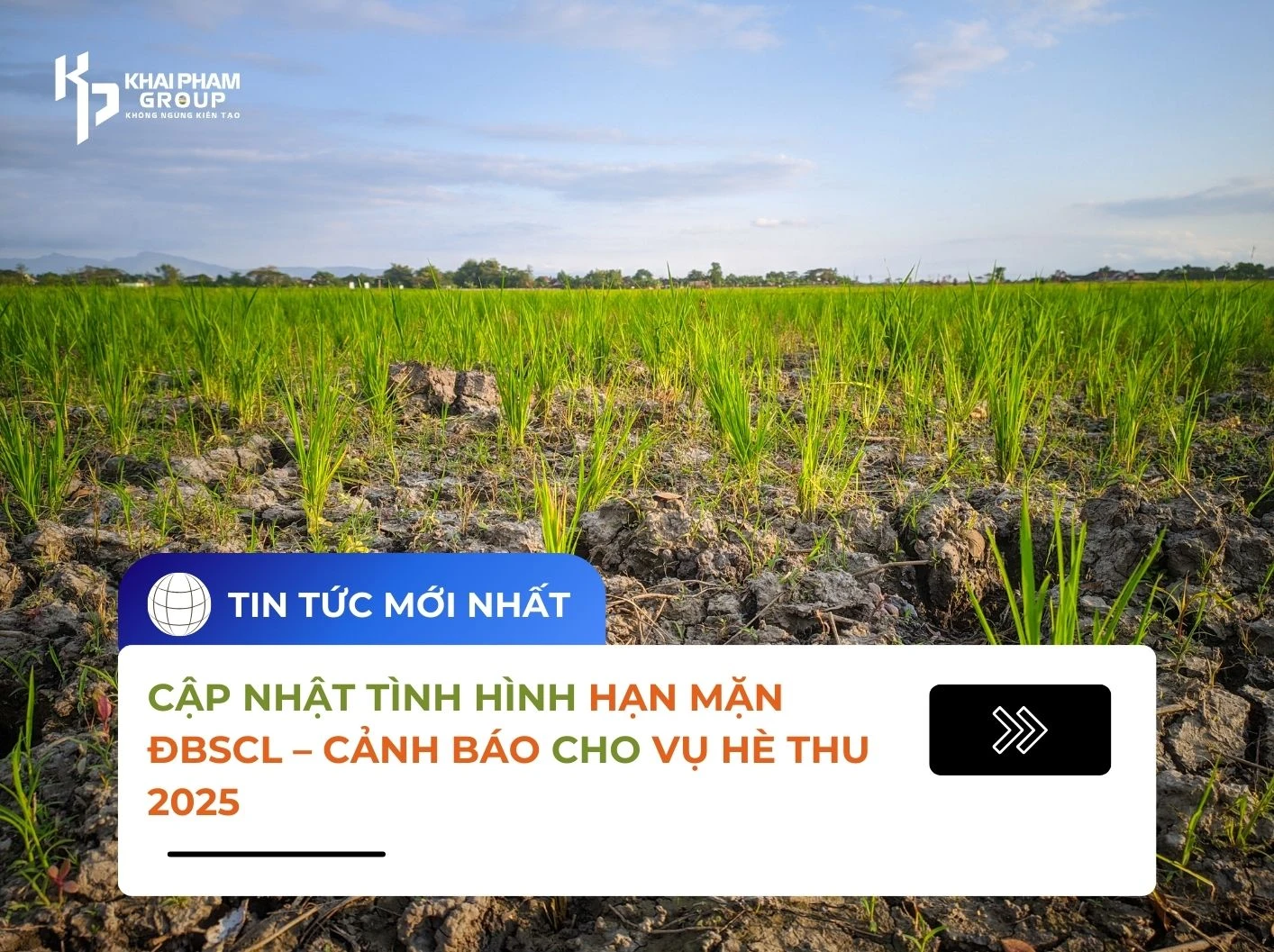 CẬP NHẬT TÌNH HÌNH HẠN MẶN ĐBSCL – CẢNH BÁO CHO VỤ HÈ THU 2025