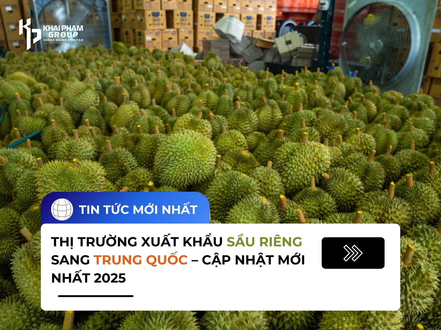 THỊ TRƯỜNG XUẤT KHẨU SẦU RIÊNG SANG TRUNG QUỐC – CẬP NHẬT MỚI NHẤT 2025