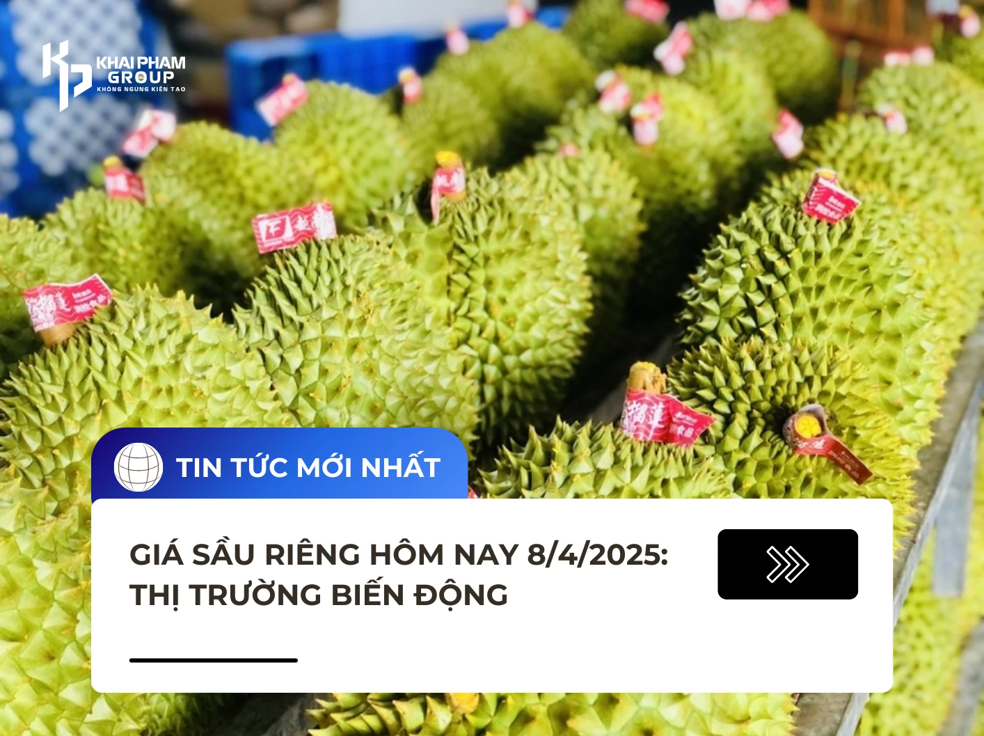 Giá sầu riêng 08/04/2025