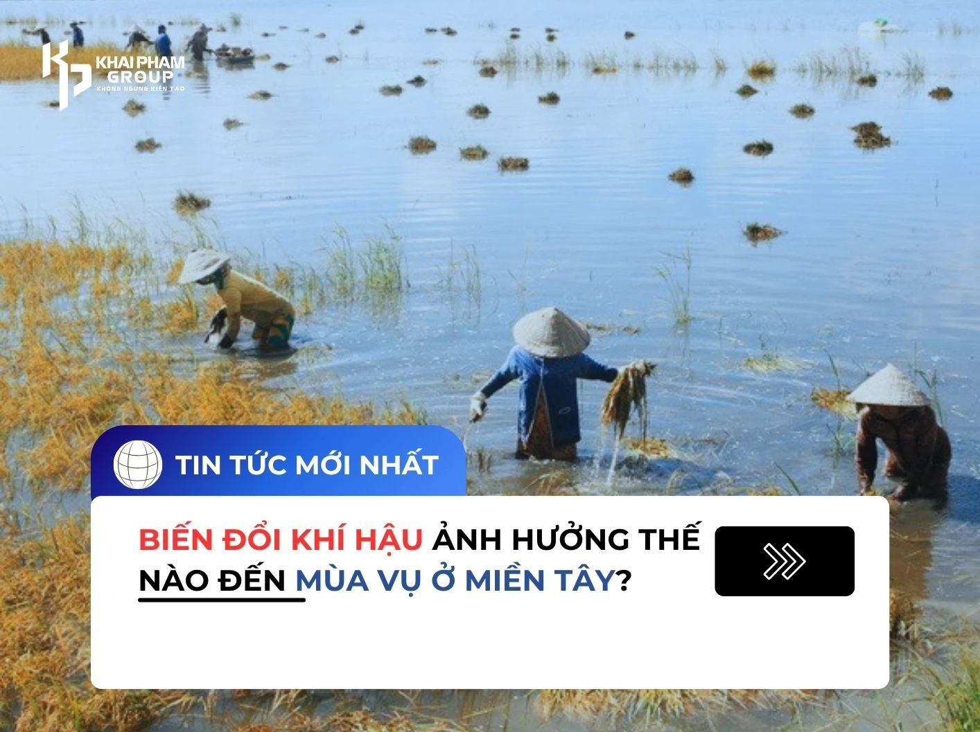 Biến đổi khí hậu ảnh hưởng thế nào đến mùa vụ ở miền Tây?
