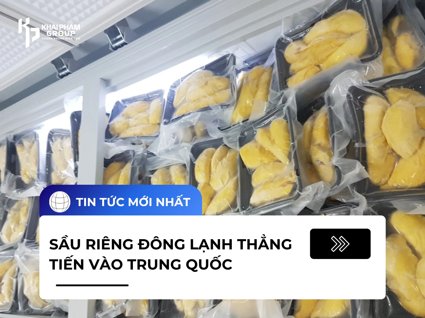 SẦU RIÊNG ĐÔNG LẠNH