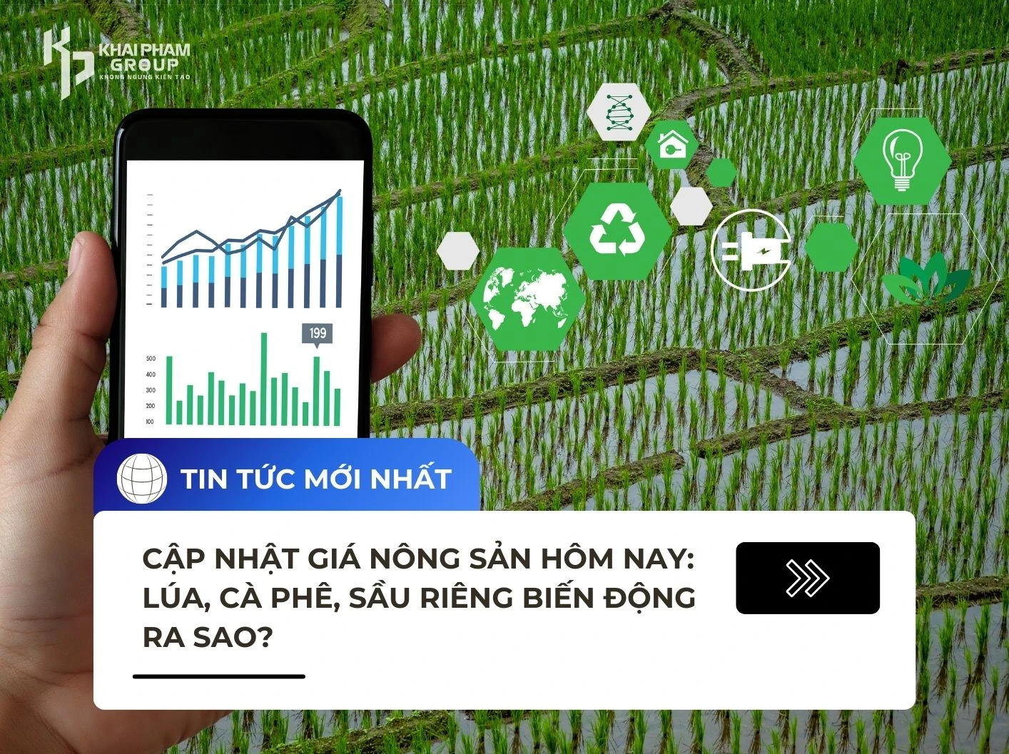 CẬP NHẬT GIÁ NÔNG SẢN HÔM NAY – LÚA, CÀ PHÊ, SẦU RIÊNG BIẾN ĐỘNG RA SAO?