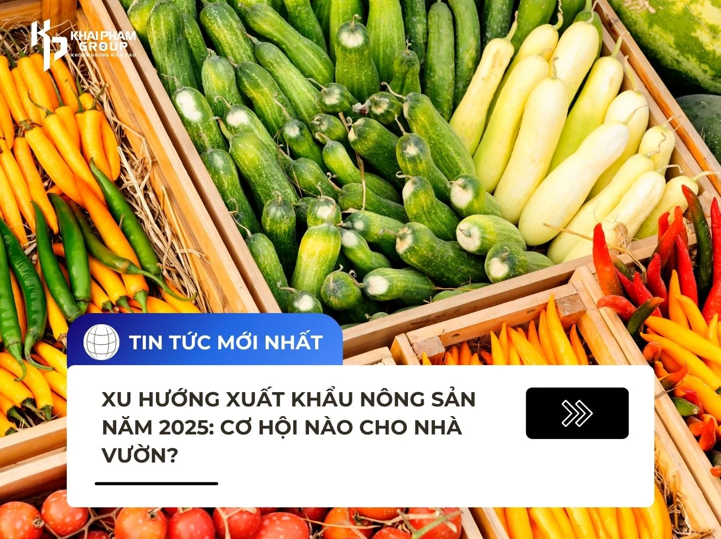 XU HƯỚNG XUẤT KHẨU NÔNG SẢN NĂM 2025: CƠ HỘI NÀO CHO NHÀ VƯỜN?