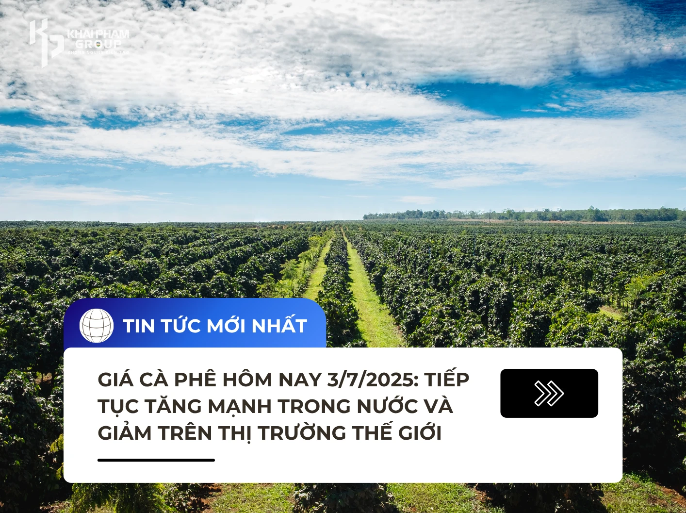 Giá cà phê hôm nay 3/7/2025: Tiếp tục tăng mạnh trong nước và giảm trên thị trường thế giới