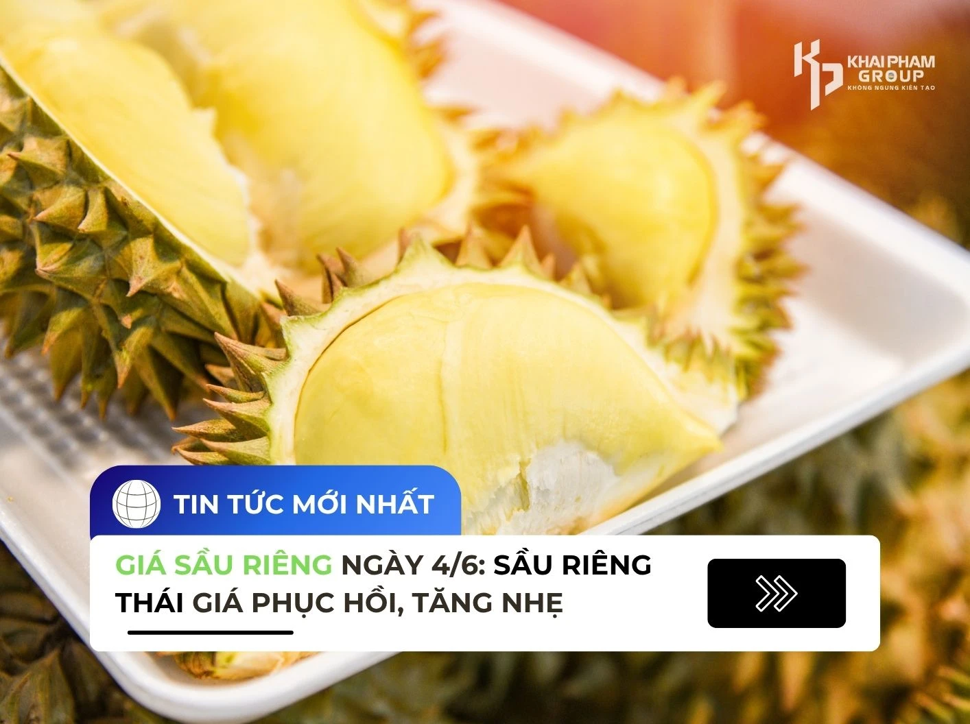GIÁ SẦU RIÊNG 04/06/2025: SẦU RIÊNG THÁI PHỤC HỒI, TĂNG NHẸ