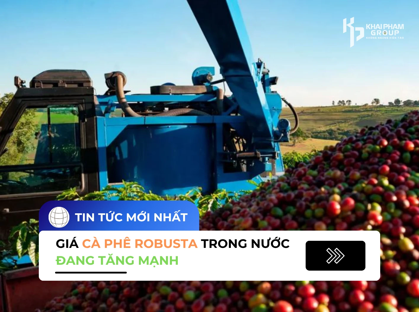 GIÁ CÀ PHÊ ROBUSTA TRONG NƯỚC ĐANG TĂNG MẠNH – NGUYÊN NHÂN VÀ DỰ BÁ0 SẮP TỚI