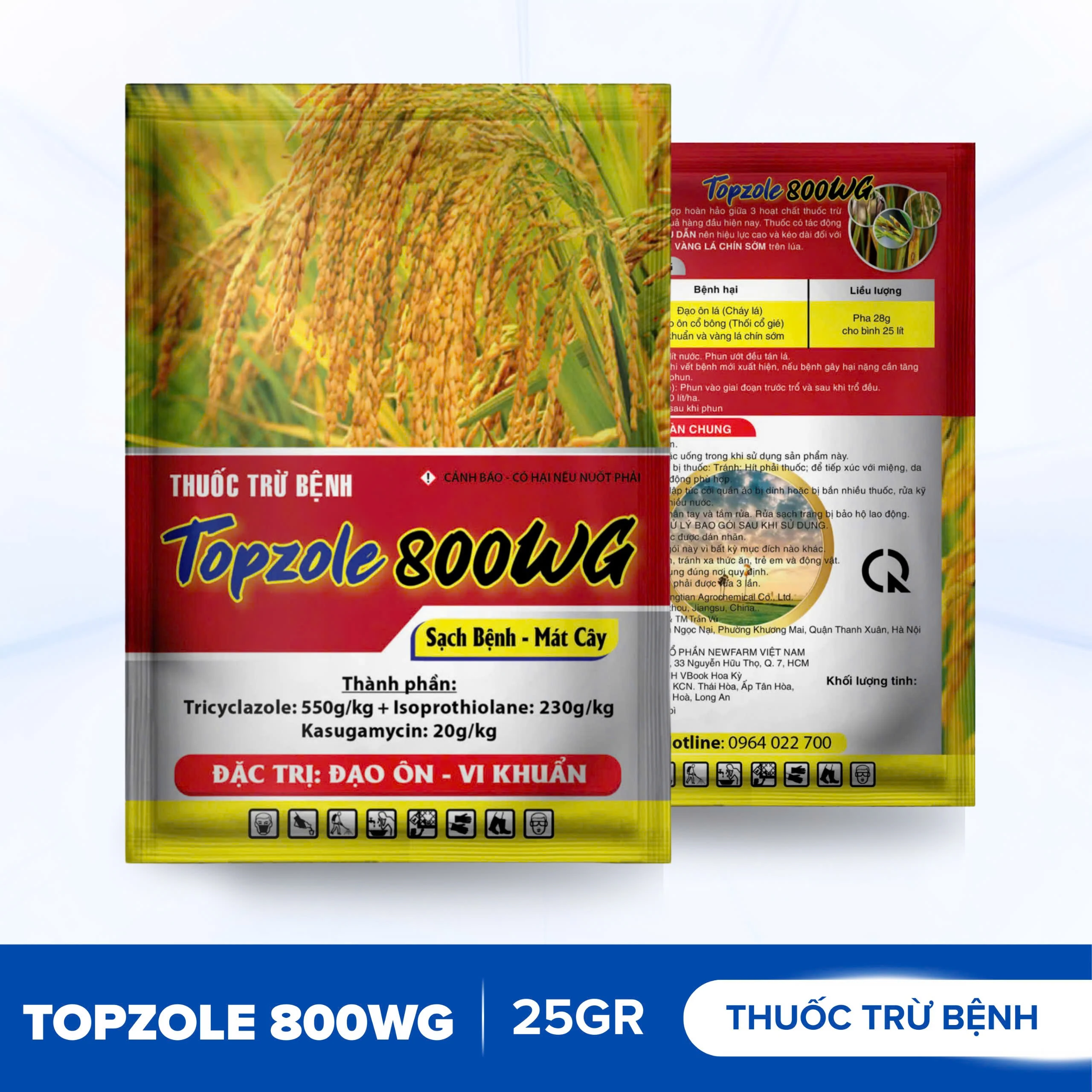 5 dấu hiệu nhận biết đạo ôn trên lúa 