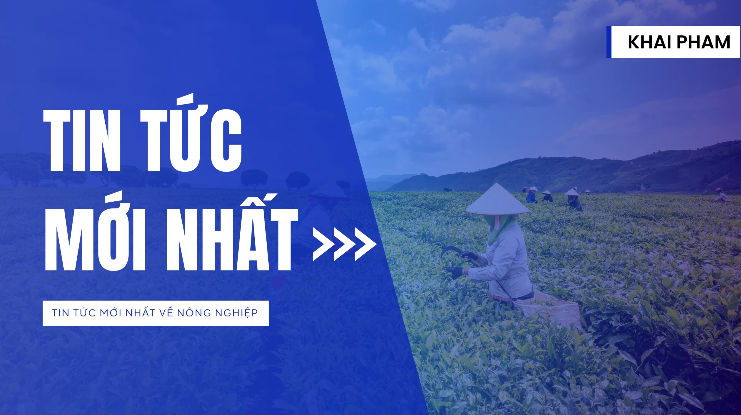 Tin tức mới nhất