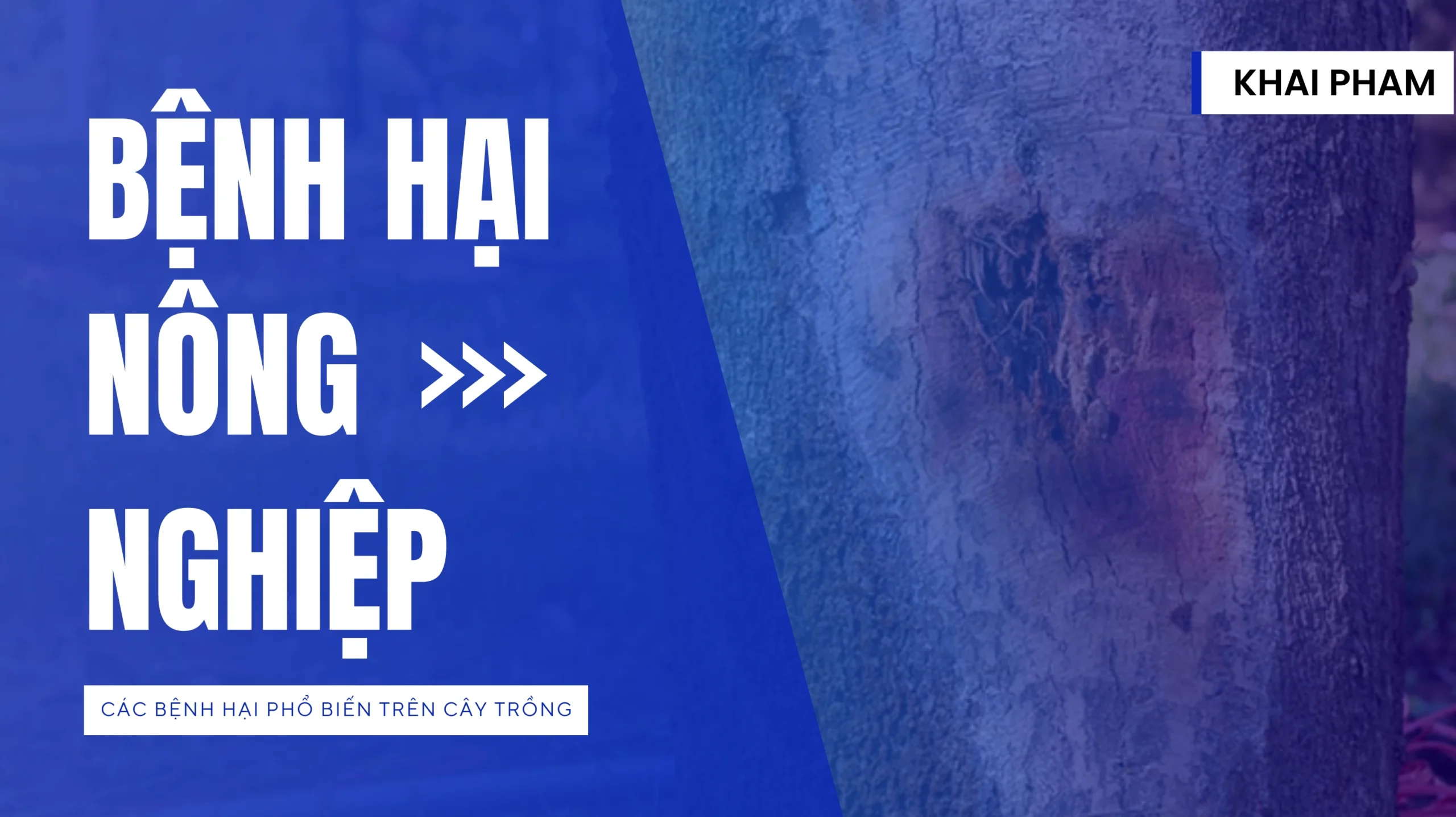 Bệnh hại nông nghiệp