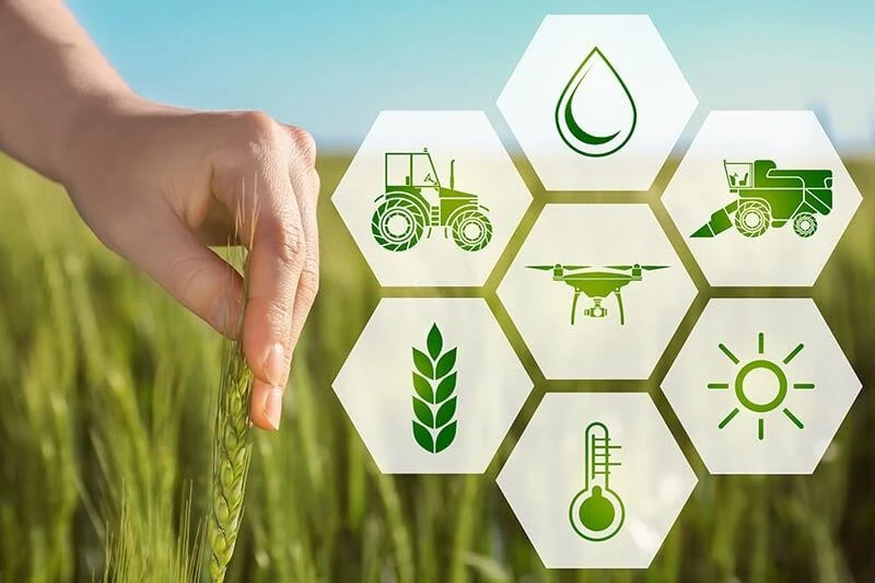 CHUYỂN ĐỔI TỪ SẢN XUẤT NÔNG NGHIỆP SANG KINH TẾ NÔNG NGHIỆP