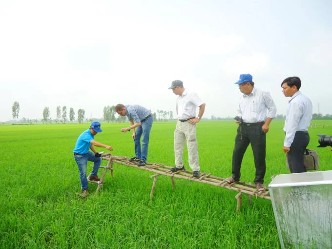 KỸ THUẬT TƯỚI TIẾT KIỆM NƯỚC CHO CÂY LÚA