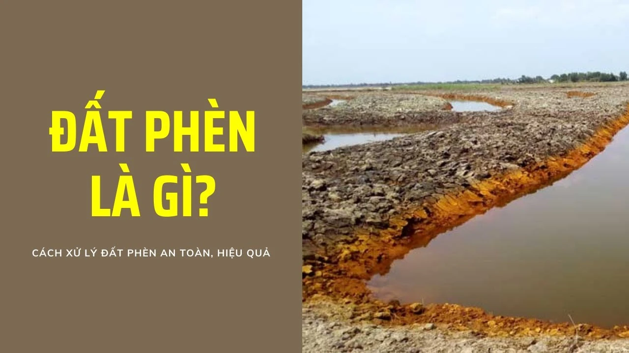 đất chua-đất phèn