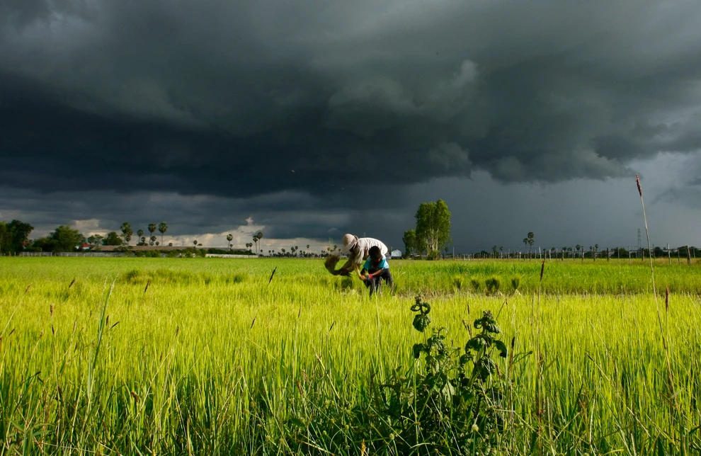 7 THỜI ĐIỂM KHÔNG NÊN PHUN THUỐC BVTV TRÁNH BỊ PHẢN TÁC DỤNG