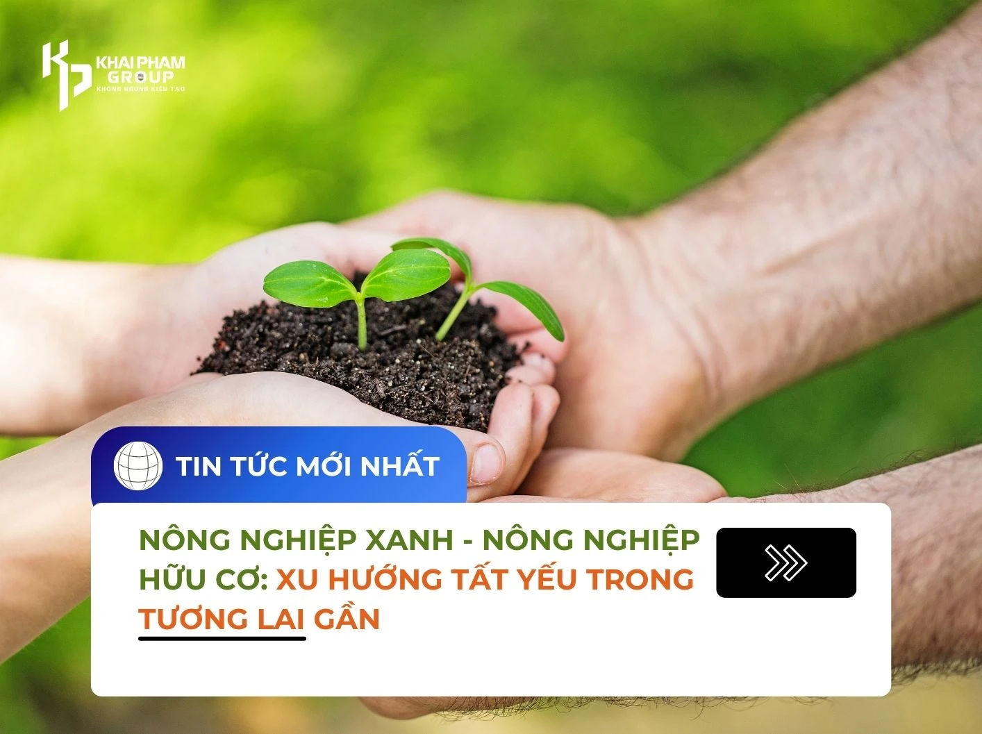 NÔNG NGHIỆP XANH - NÔNG NGHIỆP HỮU CƠ: XU HƯỚNG TẤT YẾU TRONG TƯƠNG LAI GẦN