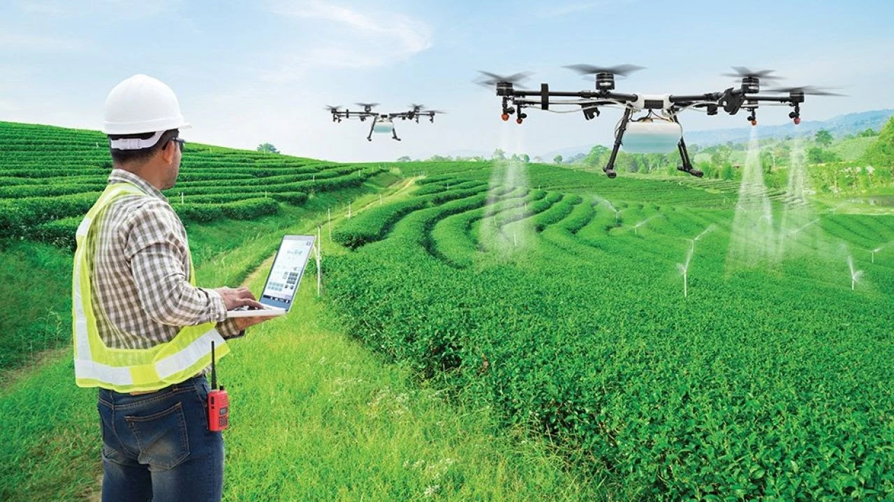 ỨNG DỤNG DRONE TRONG PHUN THUỐC TRỪ SÂU CHO LÚA