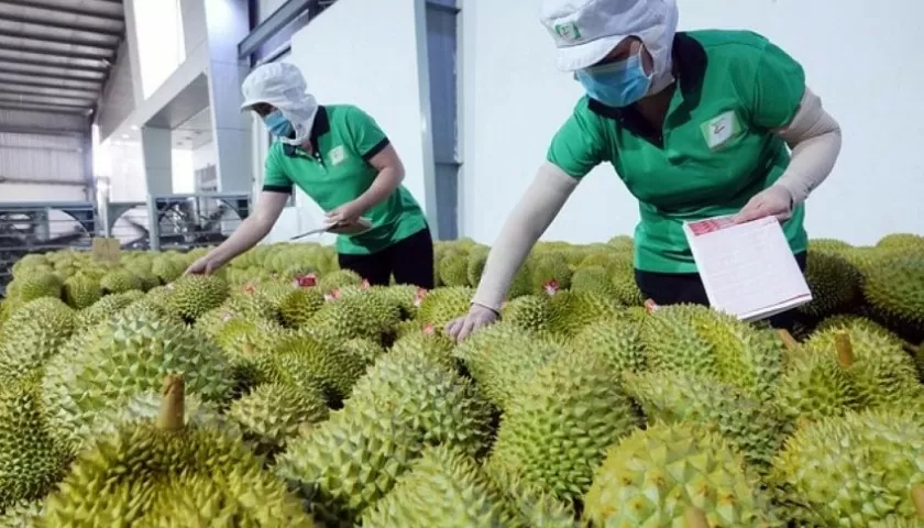Xuất Khẩu Nông Sản Việt Nam 2025