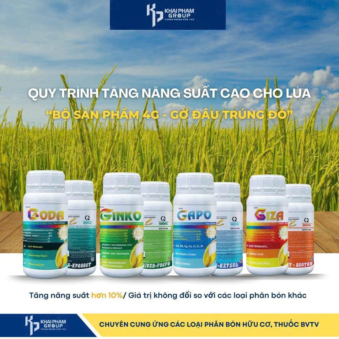 phân bón hữu cơ 
