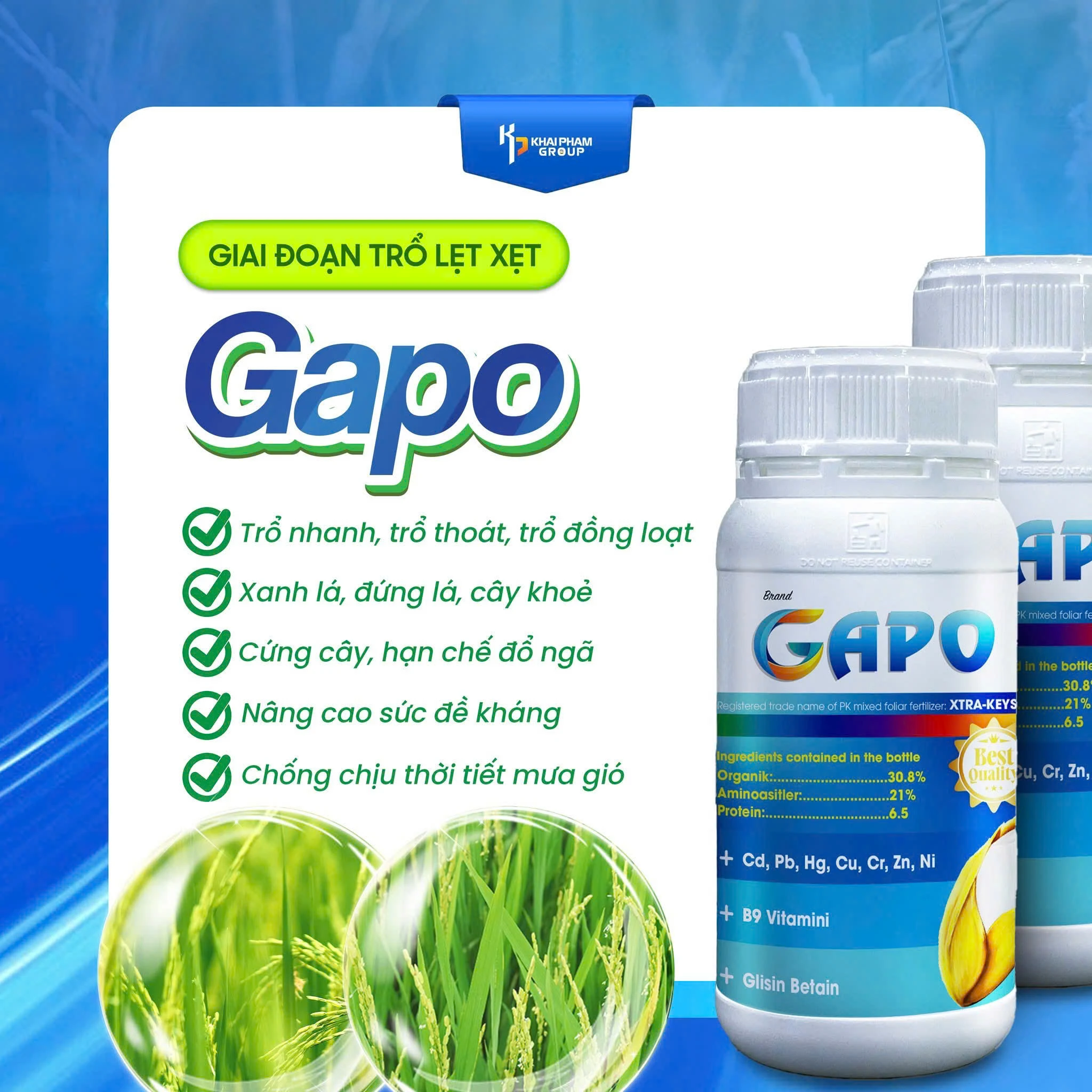GAPO